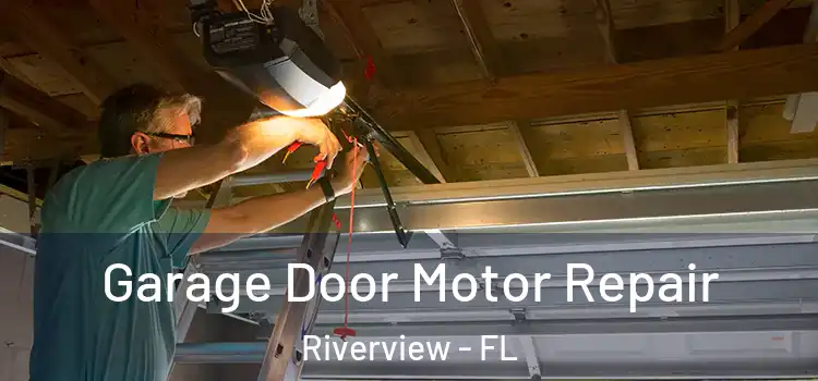  Garage Door Motor Repair Riverview - FL