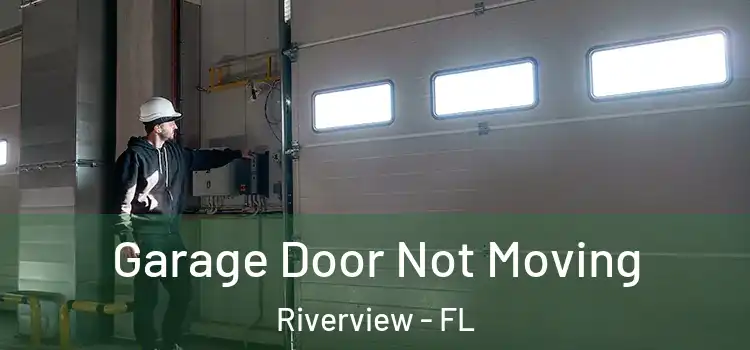  Garage Door Not Moving Riverview - FL