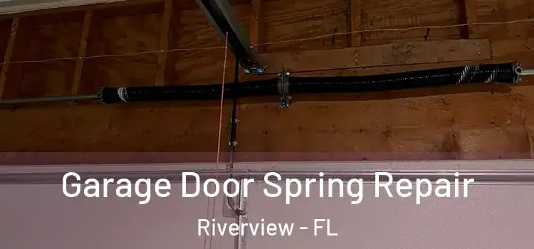  Garage Door Spring Repair Riverview - FL