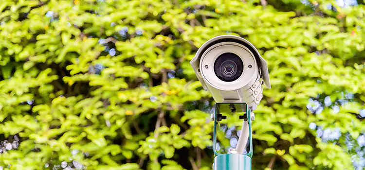 Advanced Surveillance Solutions for Every Need in Riverview